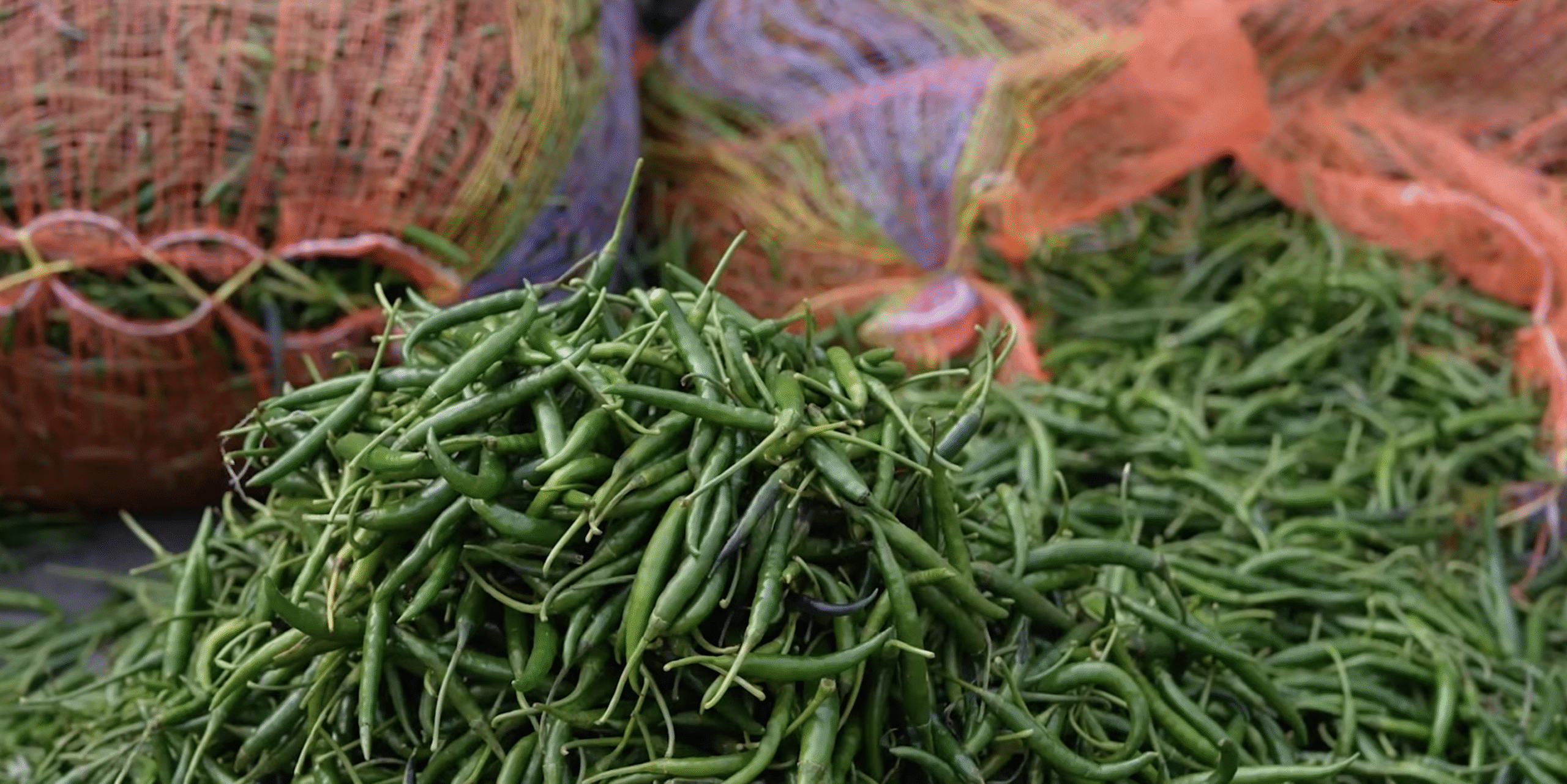 मिर्च की कमी ने बढ़ाए दाम