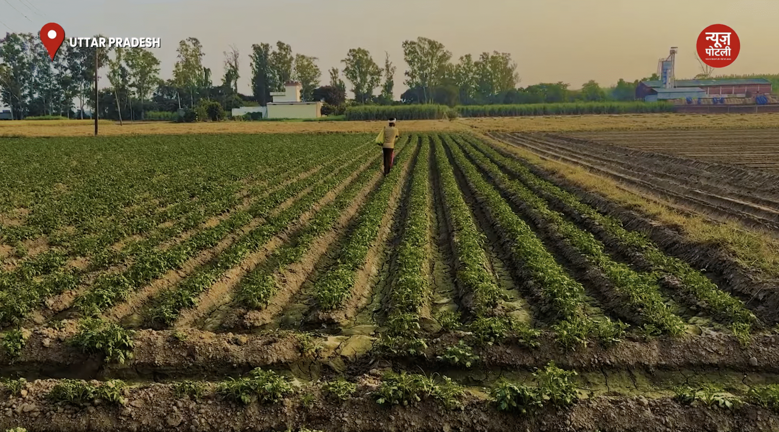 हाईकोर्ट