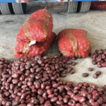 हाथरस से बढ़ा निर्यात