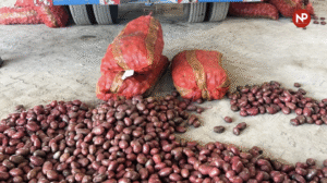 हाथरस से बढ़ा निर्यात