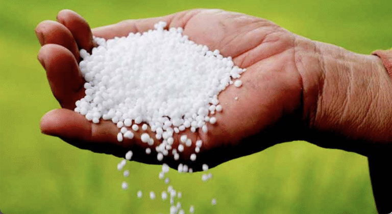 सस्ती होने से यूरिया किसानों की पहली पसंद