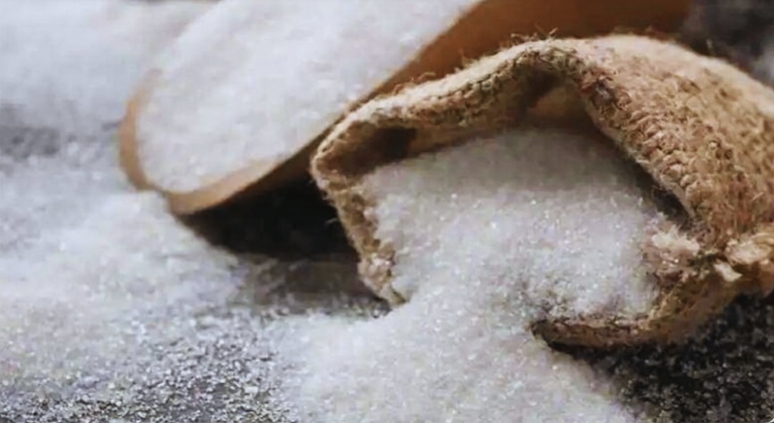 चीनी उत्पादन रिकॉर्ड स्तर पर