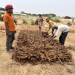 कच्चे तंबाकू पर 18% उत्पाद शुल्क हटाया गया