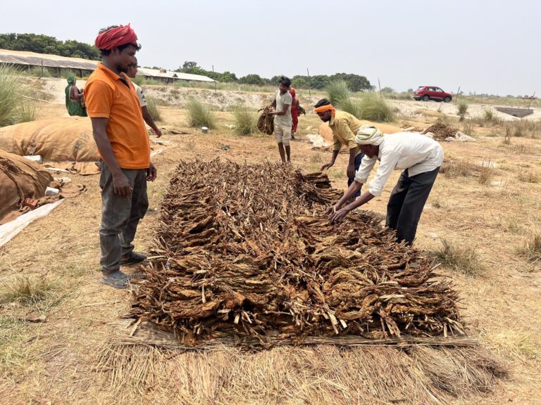 कच्चे तंबाकू पर 18% उत्पाद शुल्क हटाया गया