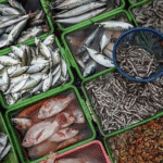 US ने शुल्क घटाकर 18% किया