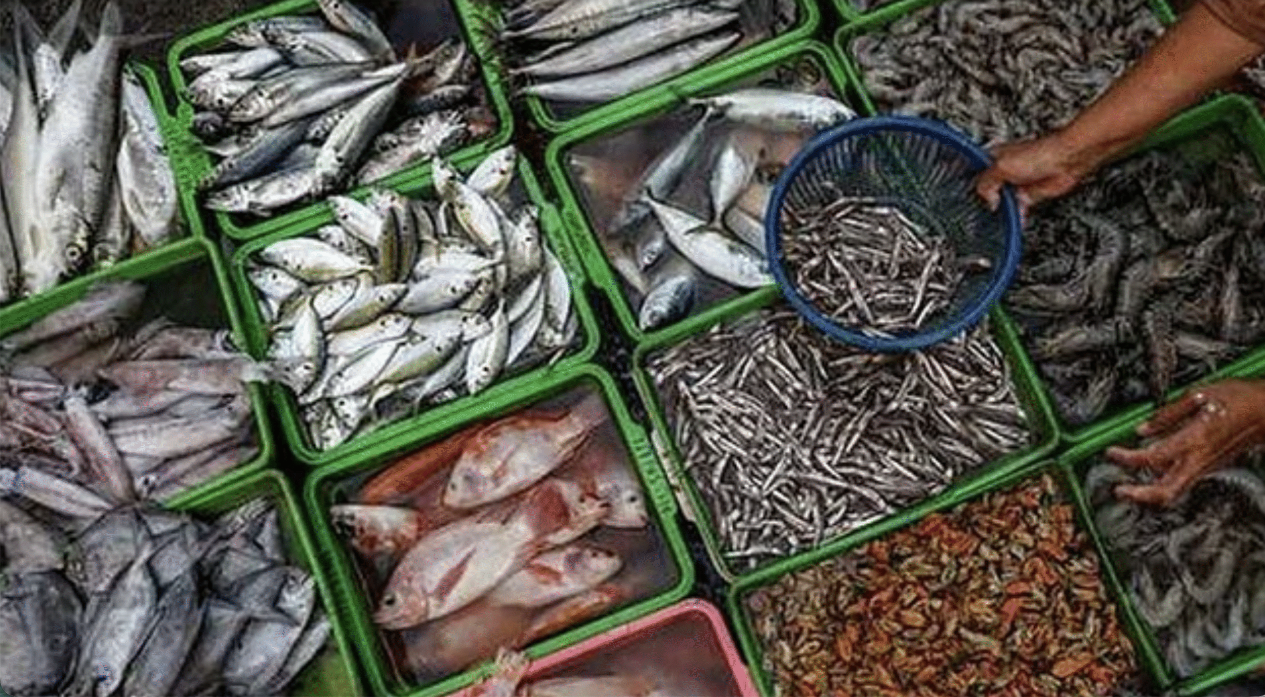 US ने शुल्क घटाकर 18% किया