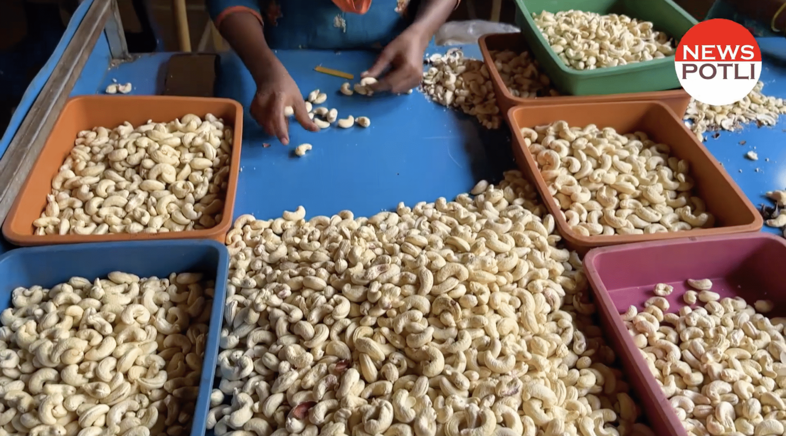 प्रीमियम सेगमेंट में बढ़ेगा भारतीय काजू