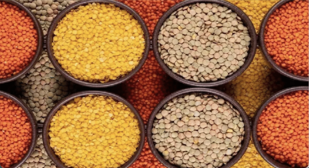 सीहोर में 7 फरवरी को राष्ट्रीय दलहन कॉन्फ्रेंस