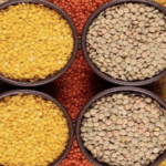 सीहोर में 7 फरवरी को राष्ट्रीय दलहन कॉन्फ्रेंस