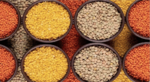 सीहोर में 7 फरवरी को राष्ट्रीय दलहन कॉन्फ्रेंस