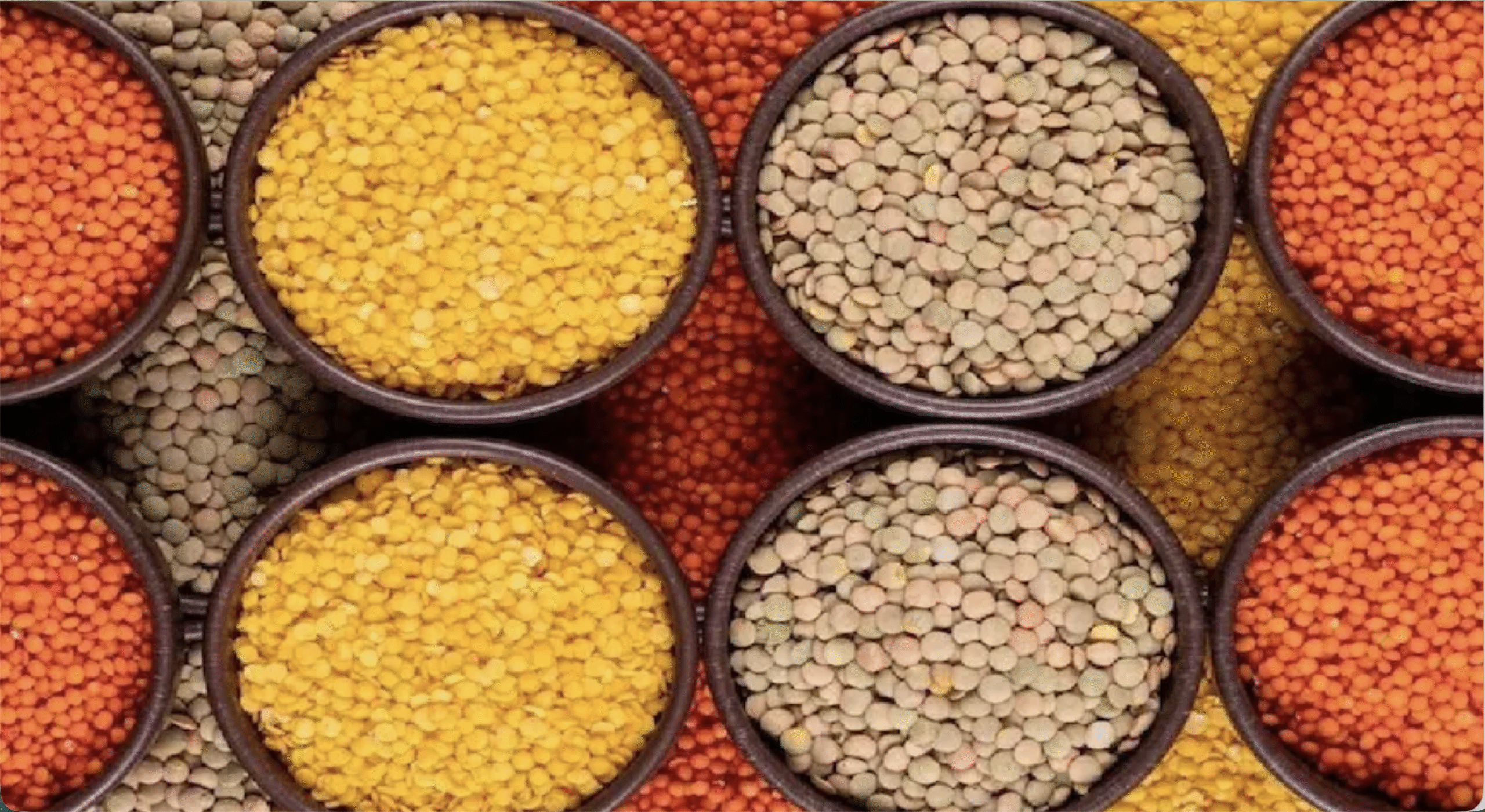 सीहोर में 7 फरवरी को राष्ट्रीय दलहन कॉन्फ्रेंस